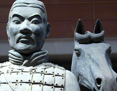 In Safe Hands - Visitor Centre Designers